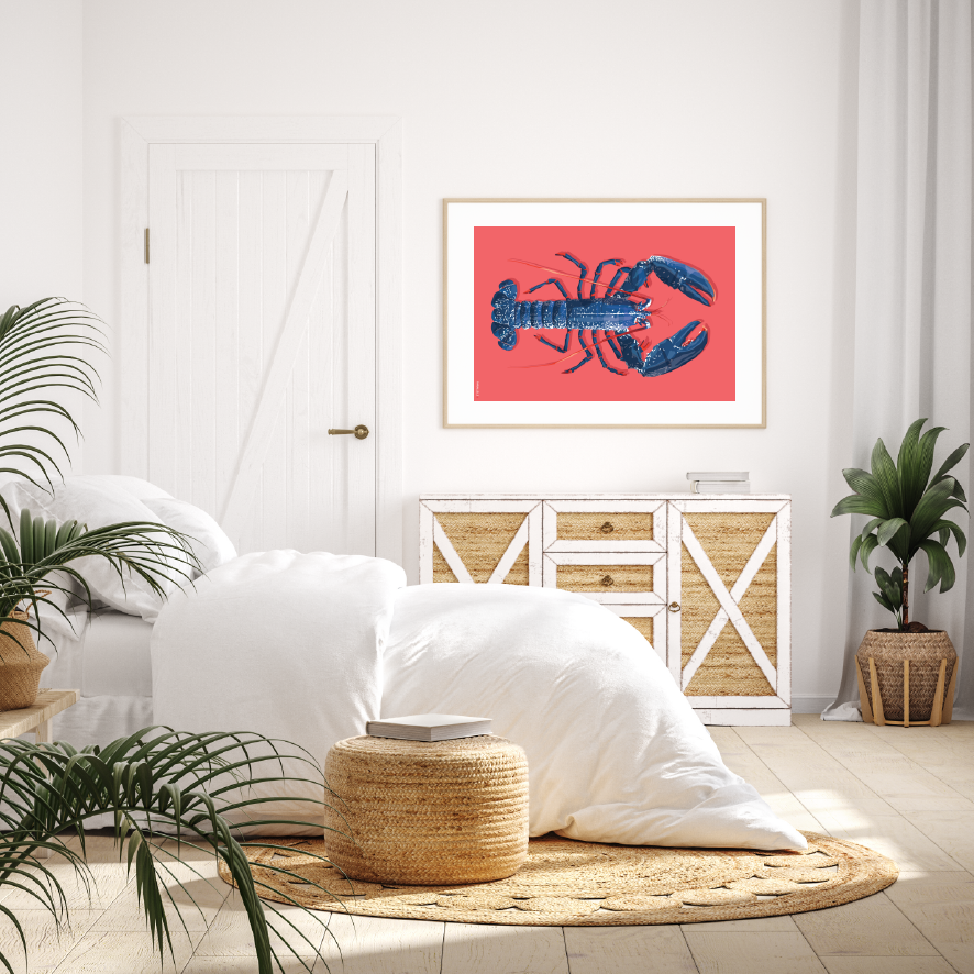 Affiche d'un homard bleu breton sur fond rose