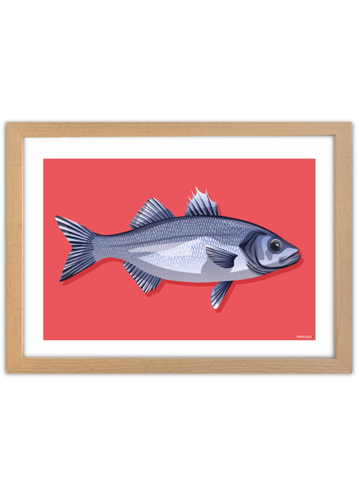 Affiche déco de poisson "Le Bar" pour pêcheur avec un cadre en chêne