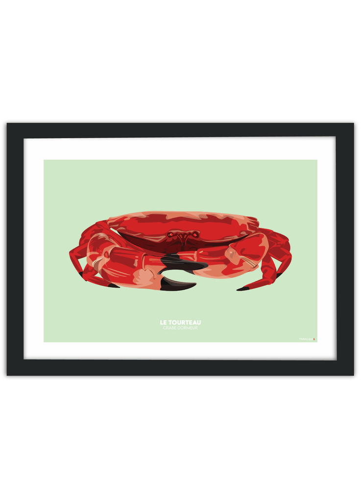 Affiche d'un tourteau rouge sur fond vert avec un cadre noir