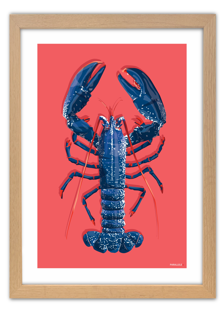 Affiche d'un homard bleu breton sur fond rose avec un cdre en chêne