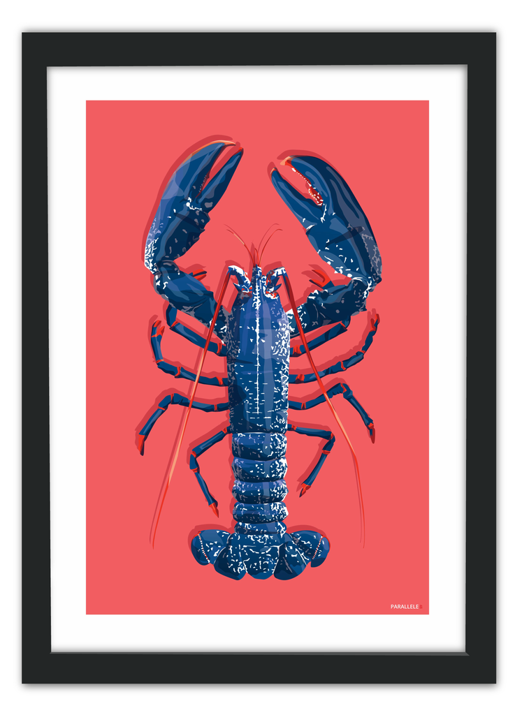 Affiche d'un homard bleu breton sur fond rose avec un cadre noir