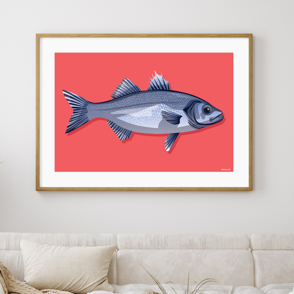 Affiche déco de poisson "Le Bar" pour pêcheur