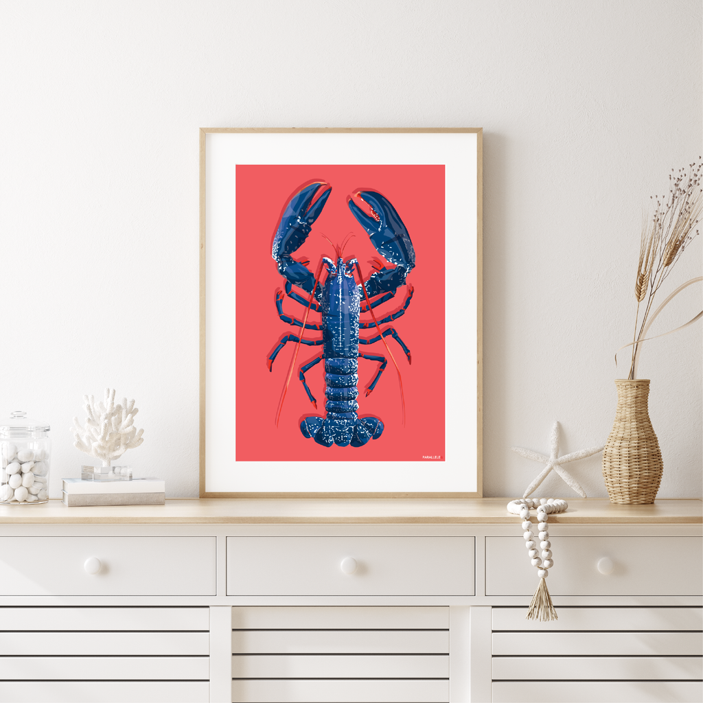Affiche d'un homard bleu breton sur fond rose