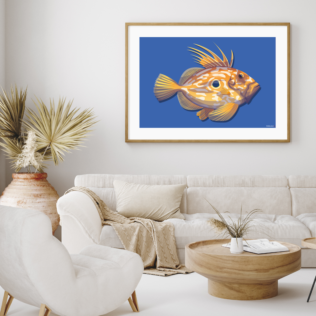 Affiche de Poisson breton Le Saint-Pierre