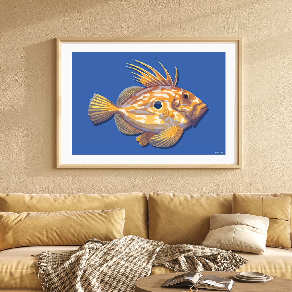 Affiche de Poisson breton Le Saint-Pierre