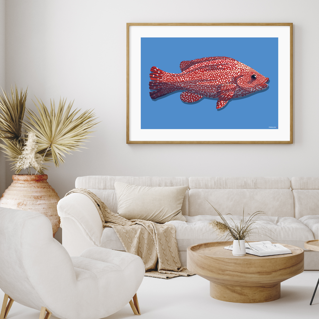 Affiche déco Poisson "La Vieille" rouge et bleu