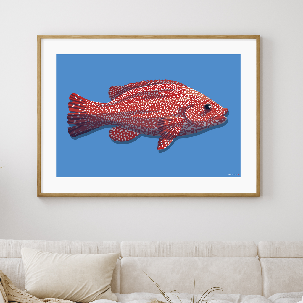 Affiche déco Poisson "La Vieille" rouge et bleu