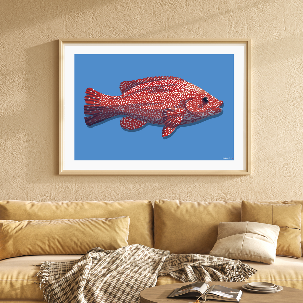 Affiche déco Poisson "La Vieille" rouge et bleu