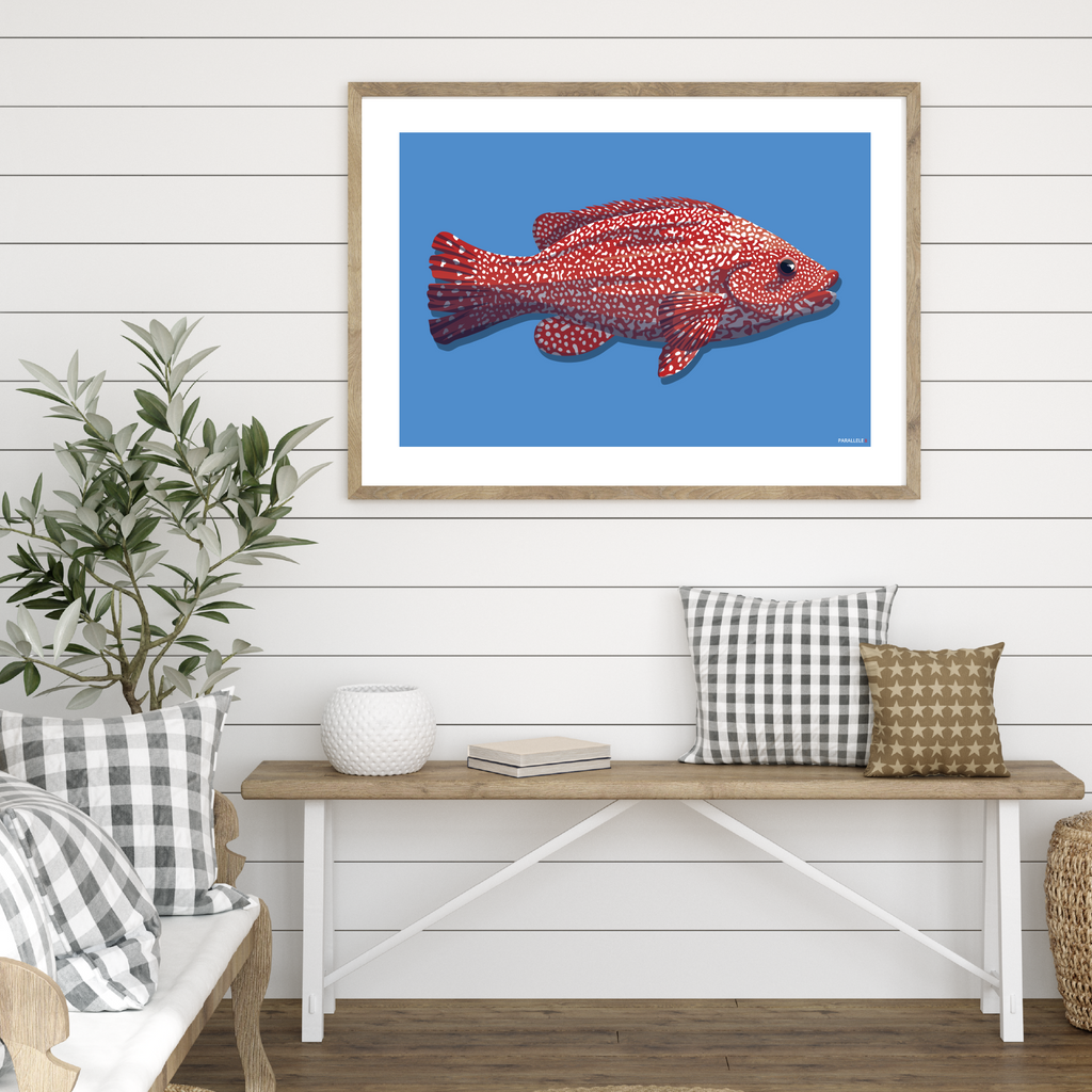 Affiche déco Poisson "La Vieille" rouge et bleu