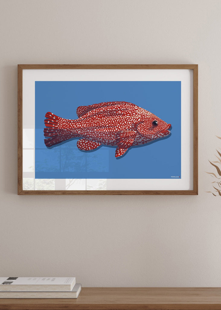 Affiche déco Poisson "La Vieille" rouge et bleu