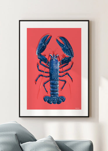 Affiche d'un homard bleu breton sur fond rose