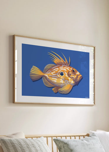 Affiche de Poisson breton Le Saint-Pierre