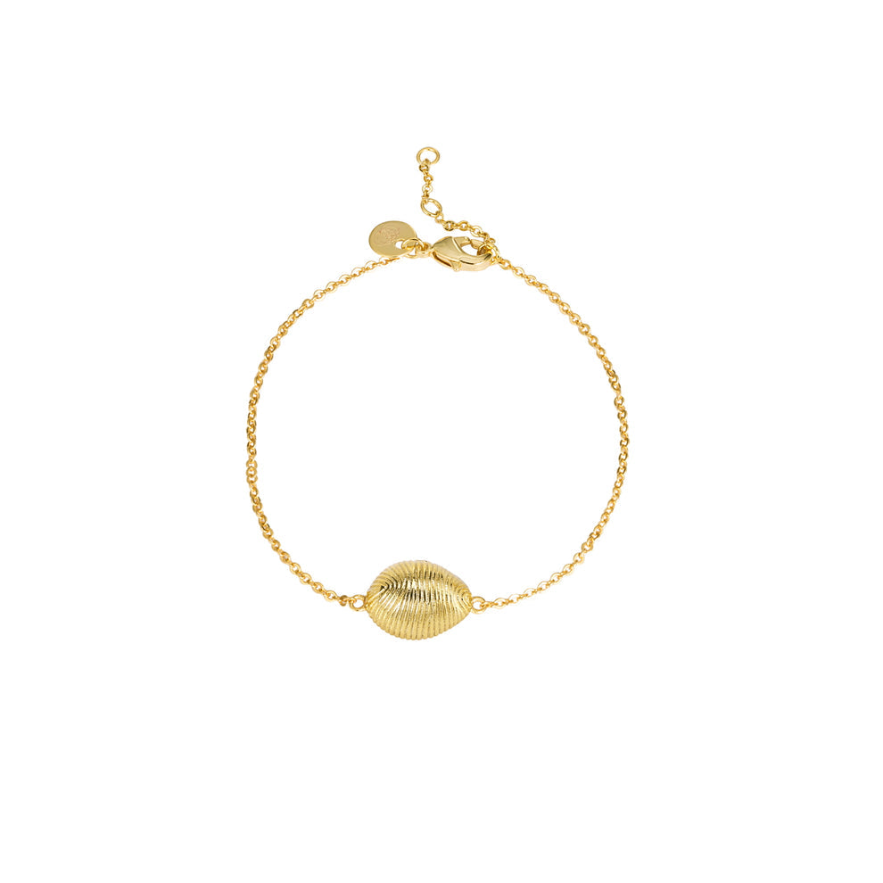 Bracelet cauri Breton - Bellec