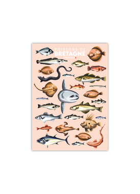 Carte postale des Poissons de Bretagne