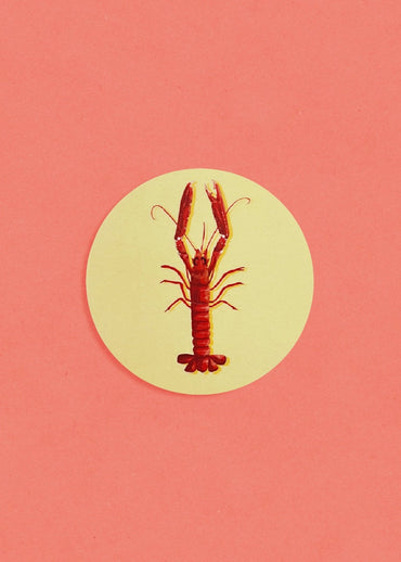 Art de la table : dessous de verre en bois de bouleau made in Europe de la marque bretonne Parallèle 48. Illustration colorée d'une langoustine