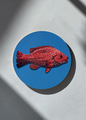 Dessous de bois en bouleau d'un poisson rouge sur fond bleu