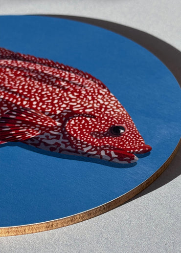 Dessous de bois en bouleau d'un poisson rouge sur fond bleu