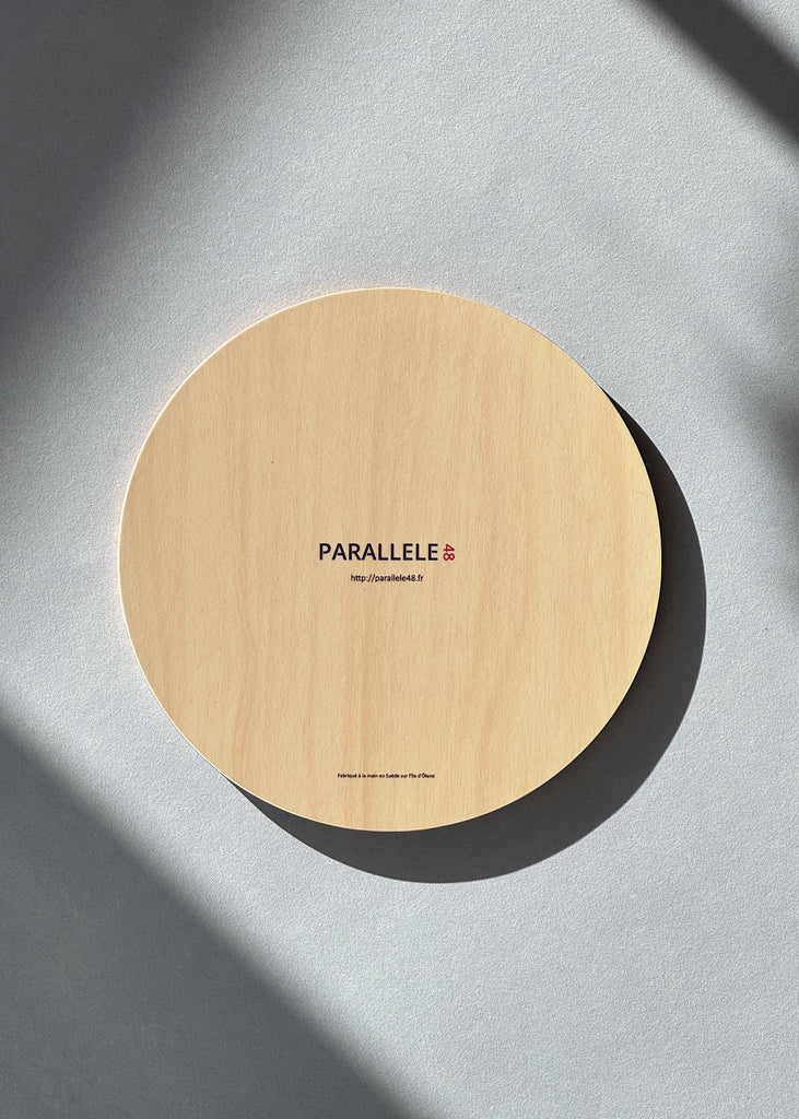 Dessous de bois en bouleau d'un poisson rouge sur fond bleu