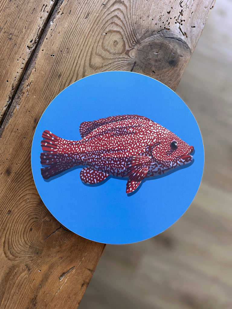 Dessous de verre d'un poisson rouge fabrication suédoise