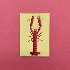 Magnet finition mat représentant une illustration de langoustine. Produit made in France de la marque bretonne Parallèle 48 basée à Brest. Idée déco pour la cuisine. 