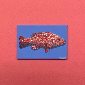 Magnet finition mat représentant une illustration du poisson la vieille. Produit made in France de la marque bretonne Parallèle 48 basée à Brest. Idée déco pour la cuisine. 