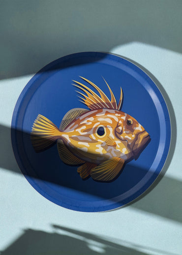 Plateau rond bleu avec un saint-pierre dessus