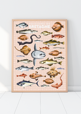 Puzzle 1000 pièces des poissons de Bretagne