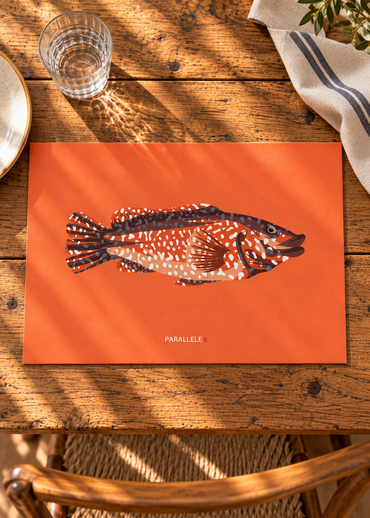Set de table Vieille sur fond orange, poisson illustré par Camille à Brest
