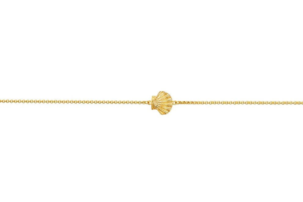 Collier coquille Saint Jacques - Sainte Jakez - Parallèle 48