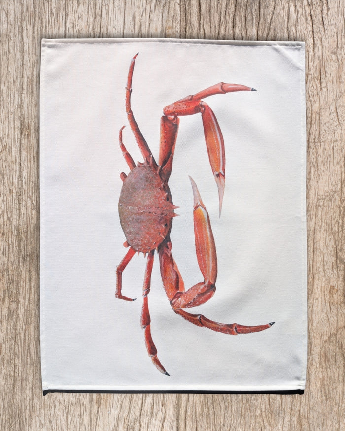 Torchon 100% coton : L'Araignée de Mer