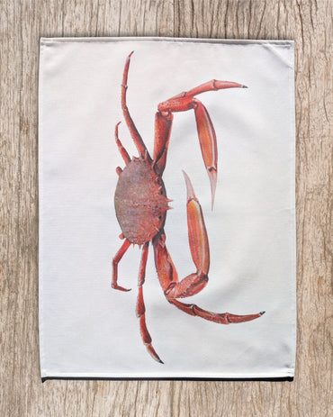 Torchon 100% coton : L'Araignée de Mer