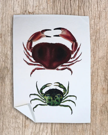 Torchon 100% coton - Les Crabes - Parallèle 48