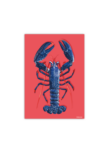 Carte postale d'un homard bleu de Bretagne