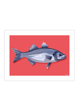Affiche déco de poisson "Le Bar" pour pêcheur
