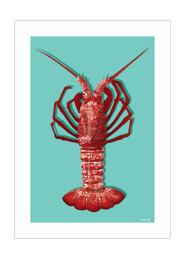 Affiche d'une Langouste sur fond bleu