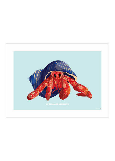 Affiche déco d'un Bernard L'hermite