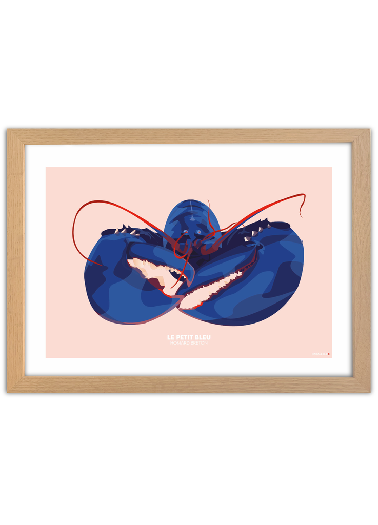 Affiche d'un homard bleu breton avec un cadre en chêne