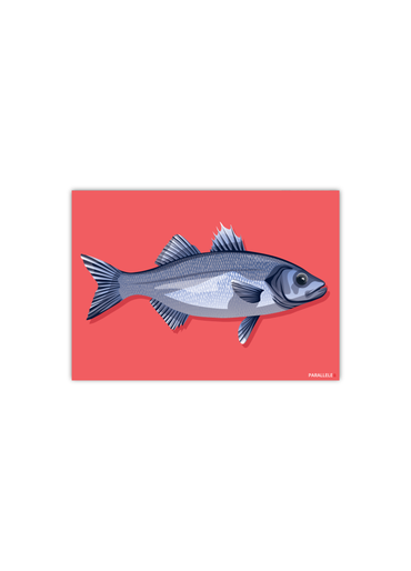 Carte postale d'un poisson sur fond rose