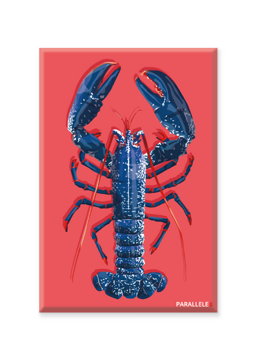 L'illustration a été dessinée dans le Finistère et le magnet a été fabriqué en France.  Pour l'expédition de votre commande, chaque magnet est soigneusement inséré dans un sachet en plastique recyclé, lui même inséré dans un carton solide d'expédition.  Dimensions : 5.4 x 8 cm  Finition : mat soft touch