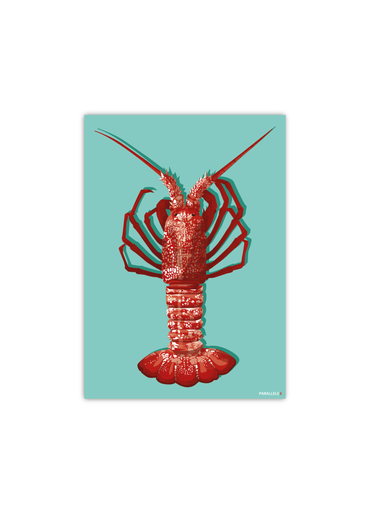 Carte Postale d'une Langouste