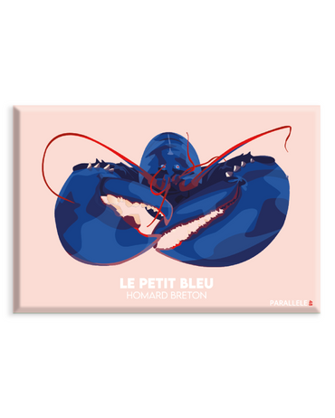 L'illustration a été dessinée dans le Finistère et le magnet a été fabriqué en France.  Pour l'expédition de votre commande, chaque magnet est soigneusement inséré dans un sachet en plastique recyclé, lui même inséré dans un carton solide d'expédition.  Dimensions : 5.4 x 8 cm  Finition : mat soft touch