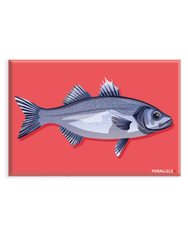 Magnet de poisson le Bar de Ligne sur fond rose