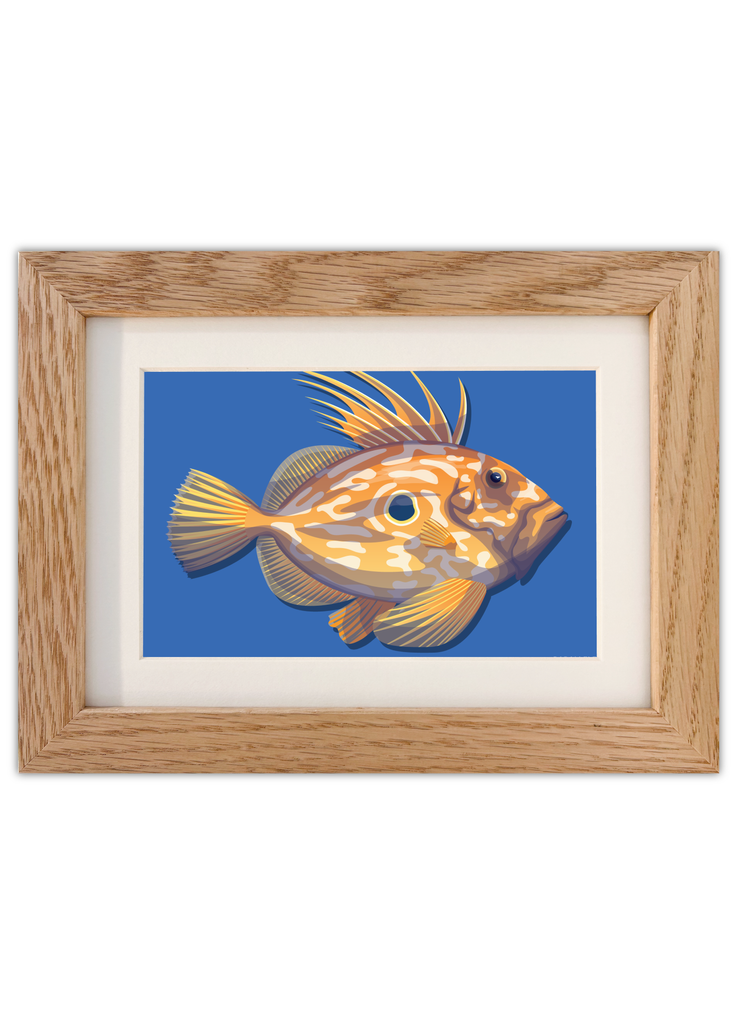Carte postale d'un poisson Le Saint-Pierre avec un cadre chêne