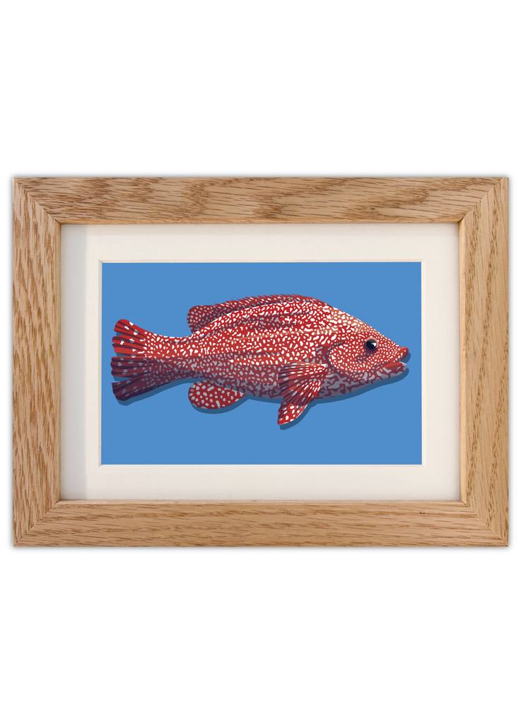 Carte postale d'un poisson sur fond bleu avec un cadre en chêne