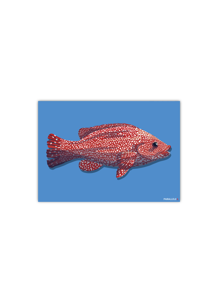 Carte postale d'un poisson sur fond bleu