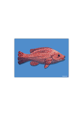 Carte postale d'un poisson sur fond bleu